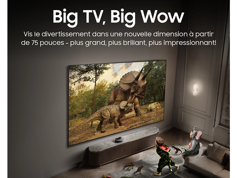 SAMSUNG TV The Frame Pro