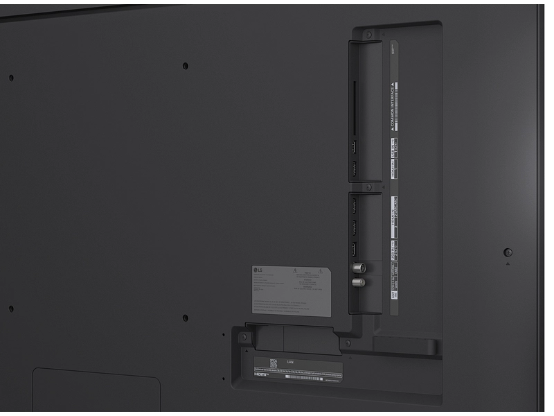 LG ELECTRONICS TV QNED