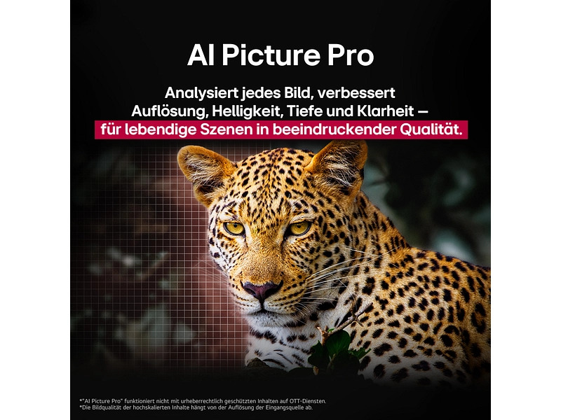 LG ELECTRONICS TV OLED