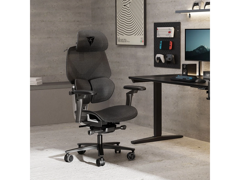 Gaming Sessel THUNDER X3 FLEX PRO
