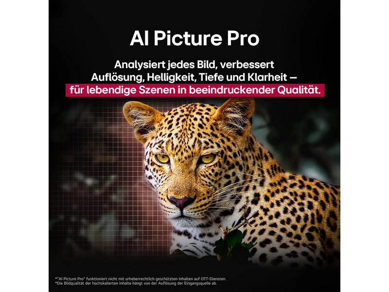 LG ELECTRONICS TV OLED