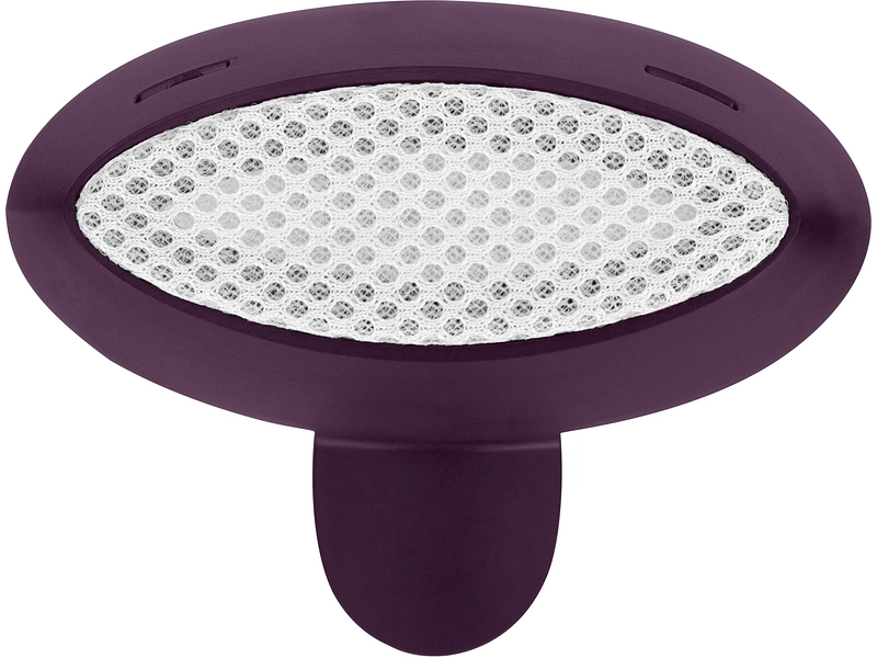 RUSSELL HOBBS Dampfglätter