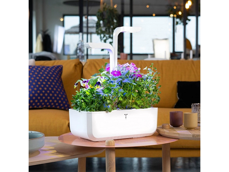 VÉRITABLE CLASSIC Indoor-Gemüsegarten