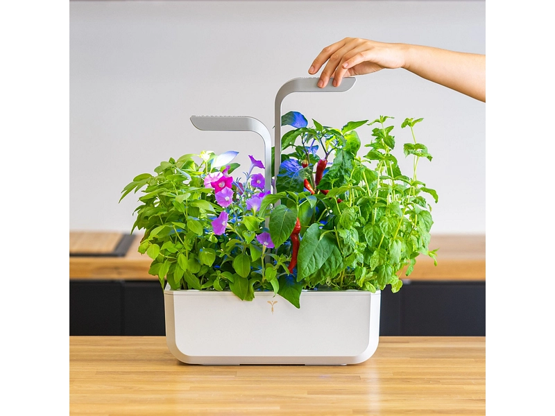 VÉRITABLE SMART Indoor-Gemüsegarten