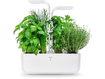 VÉRITABLE CLASSIC Potager d'intérieur