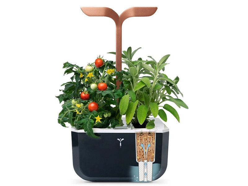 VÉRITABLE SMART Indoor-Gemüsegarten
