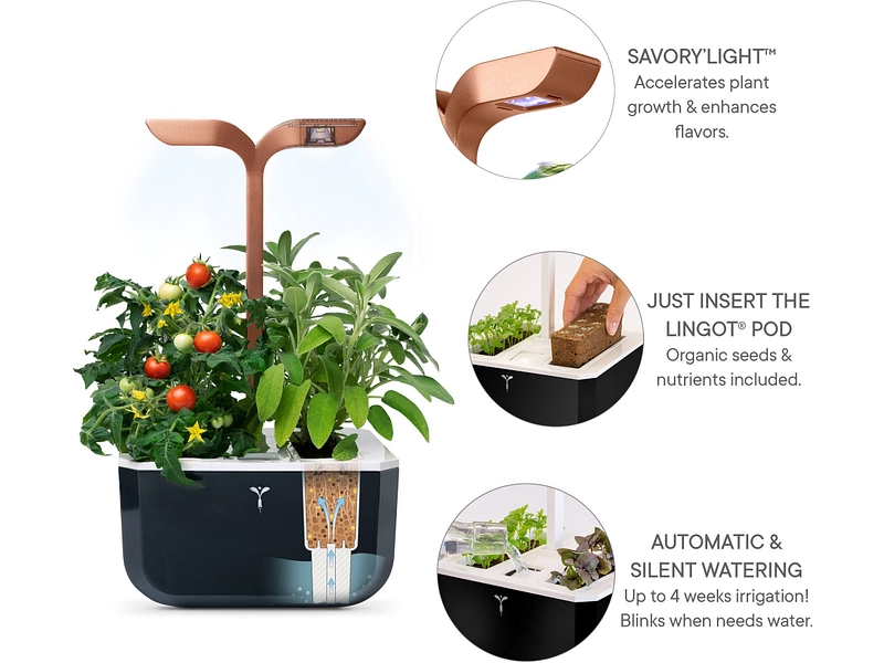 VÉRITABLE SMART Indoor-Gemüsegarten