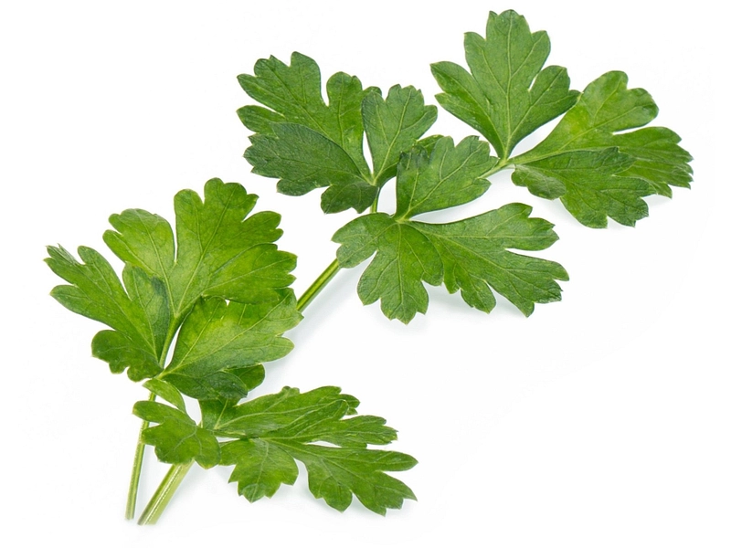 VÉRITABLE Lingot Gemüsegarten