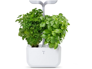 VÉRITABLE SMART Potager d'intérieur