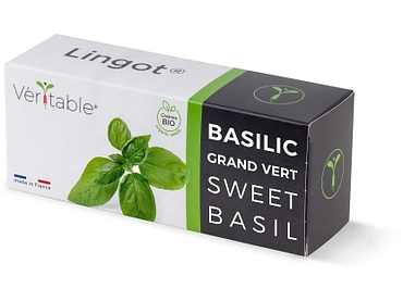 VÉRITABLE Lingot potager