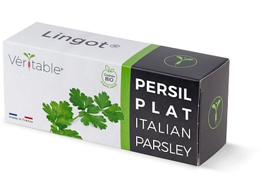 VÉRITABLE Lingot potager