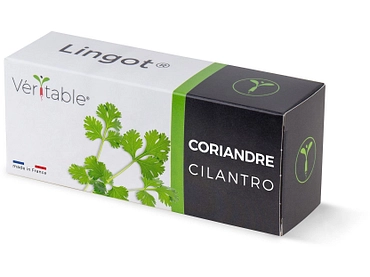 VÉRITABLE Lingot potager
