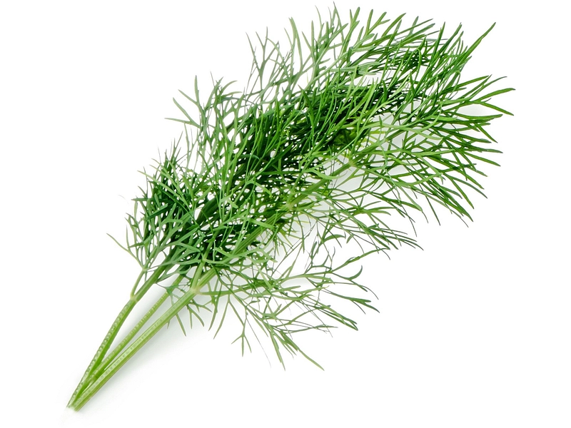 VÉRITABLE Lingot Gemüsegarten