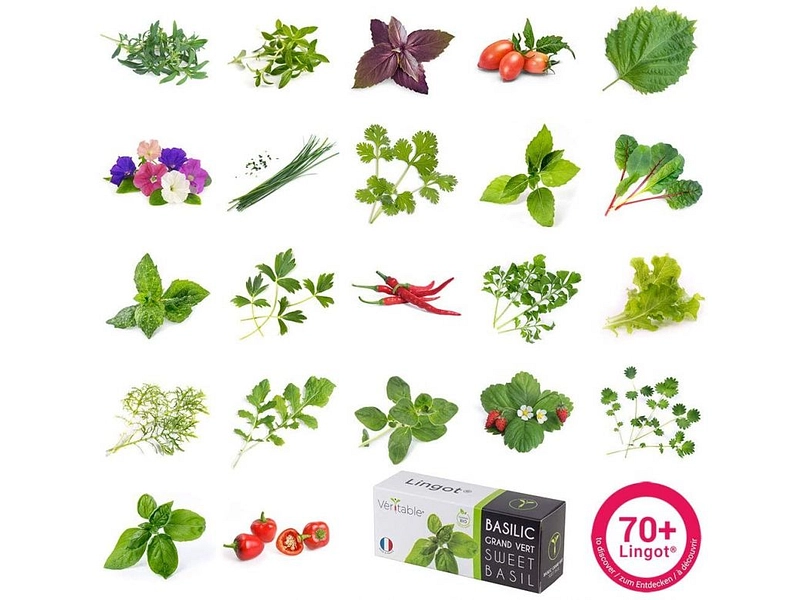 VÉRITABLE Lingot Gemüsegarten