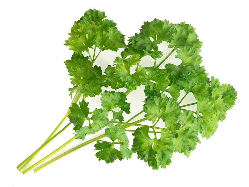 VÉRITABLE Lingot potager