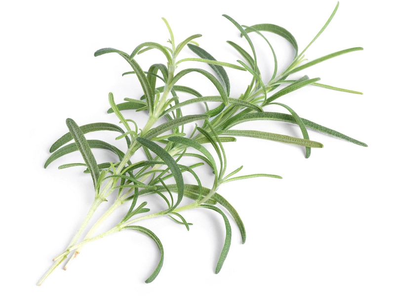 VÉRITABLE Lingot da orto