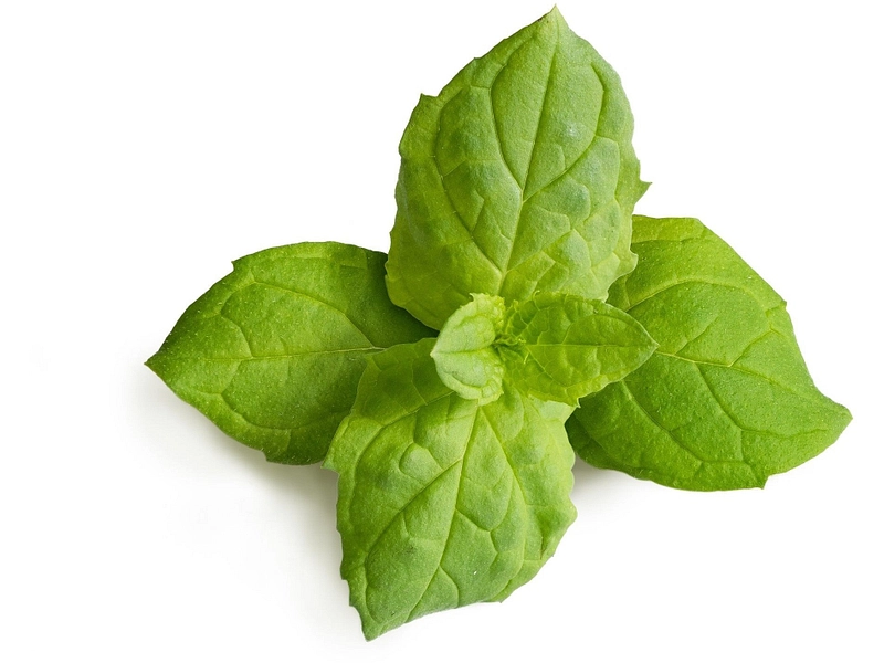 VÉRITABLE Lingot Gemüsegarten