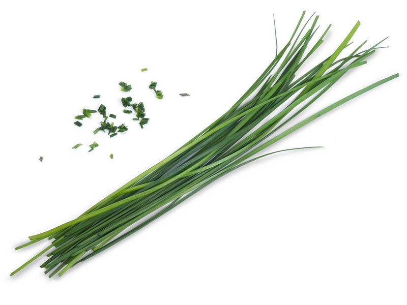VÉRITABLE Lingot Gemüsegarten
