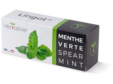 VÉRITABLE Lingot potager