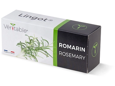 VÉRITABLE Lingot potager