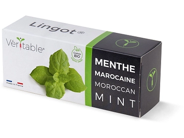 VÉRITABLE Lingot potager