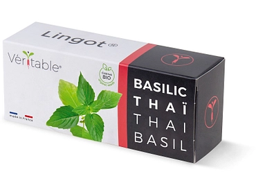 VÉRITABLE Lingot potager