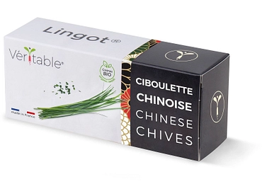 VÉRITABLE Lingot potager