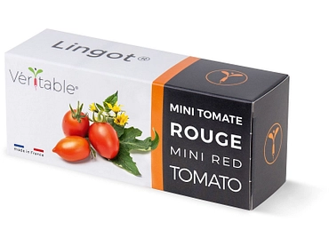 VÉRITABLE Lingot potager