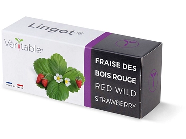 VÉRITABLE Lingot potager