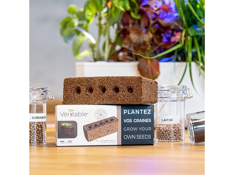 VÉRITABLE Lingot da orto