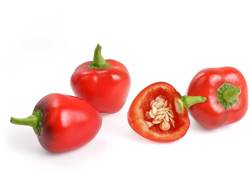 VÉRITABLE Lingot Gemüsegarten