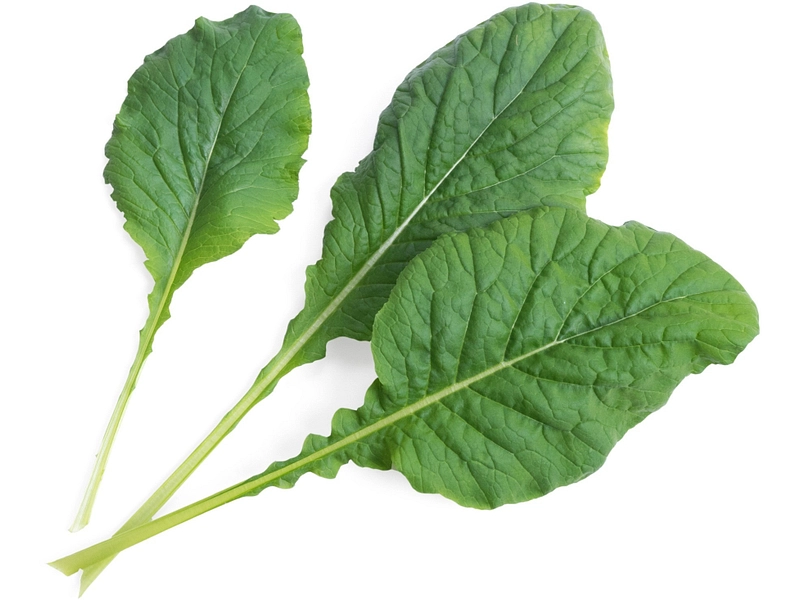 VÉRITABLE Lingot Gemüsegarten