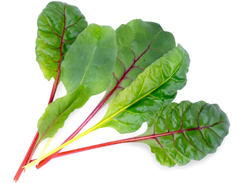 VÉRITABLE Lingot Gemüsegarten