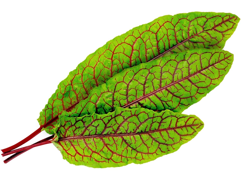 VÉRITABLE Lingot da orto