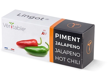 VÉRITABLE Lingot potager