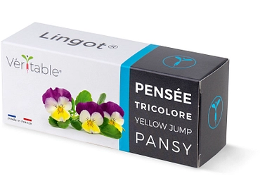 VÉRITABLE Lingot potager