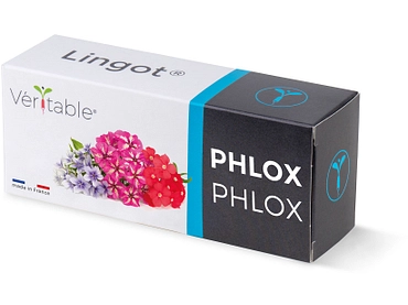 VÉRITABLE Lingot potager