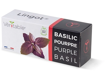 VÉRITABLE Lingot potager