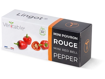 VÉRITABLE Lingot potager