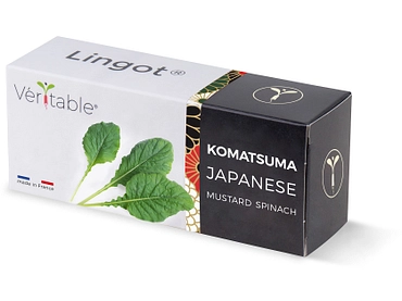 VÉRITABLE Lingot potager