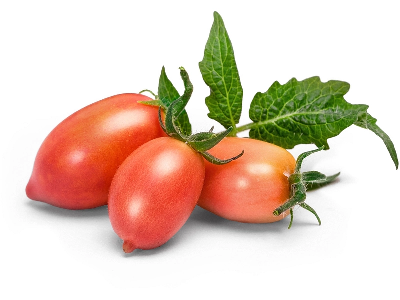 VÉRITABLE Lingot da orto