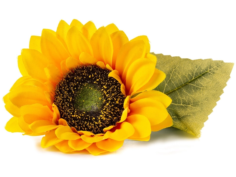 VÉRITABLE Lingot Gemüsegarten