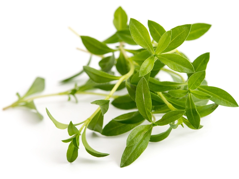 VÉRITABLE Lingot da orto