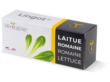 VÉRITABLE Lingot potager