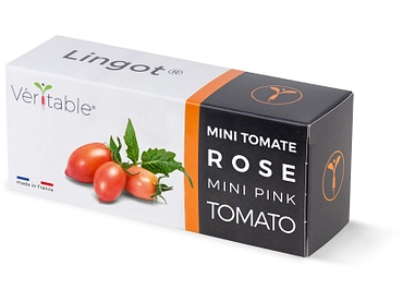 VÉRITABLE Lingot da orto