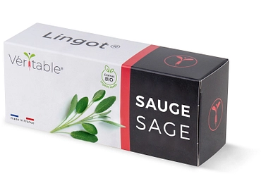 VÉRITABLE Lingot potager