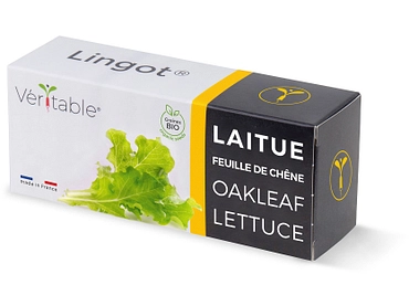 VÉRITABLE Lingot potager