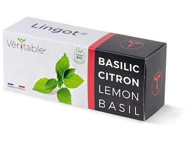 VÉRITABLE Lingot potager