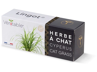 VÉRITABLE Lingot potager