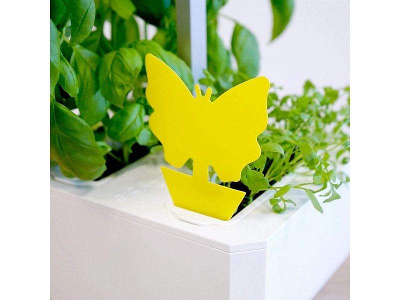 VÉRITABLE Pieges collants